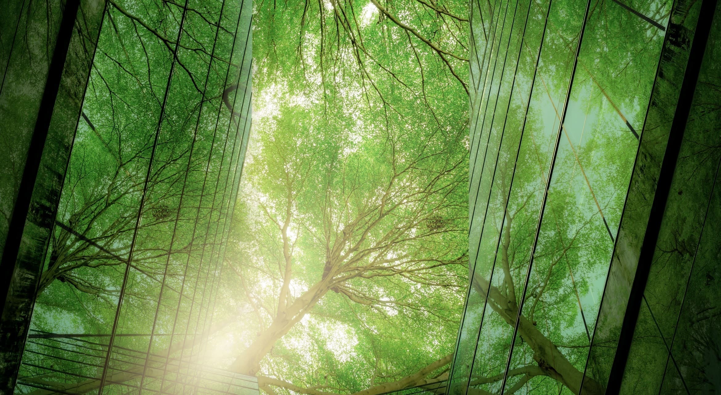 ESG Survey 2022 Imag